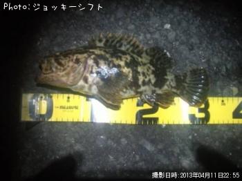 �٥å�������