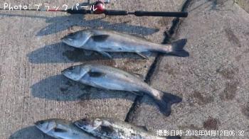 �����Х�