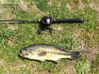 �֥�å��Х�