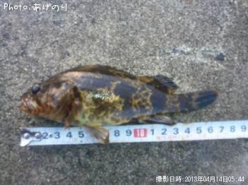 �����Υ���Х�