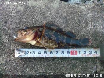 �����Υ���Х�