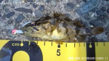 �����Υ���Х�