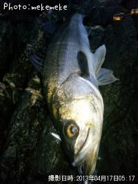 �����Х�