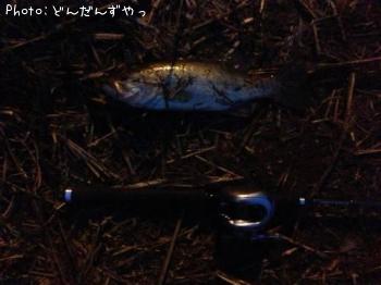 �֥�å��Х�