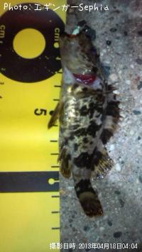 ¥¿¥±¥Î¥³¥á¥Ð¥ë