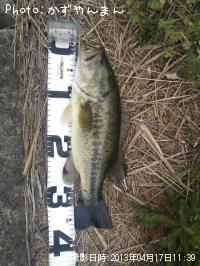 �֥�å��Х�