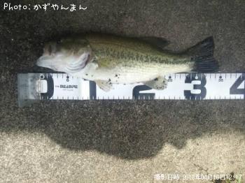 ¥Ö¥é¥Ã¥¯¥Ð¥¹