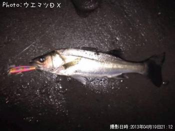 �����Х�