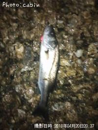 �����Х�