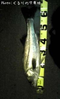 �����Х�