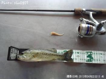 �֥�å��Х�