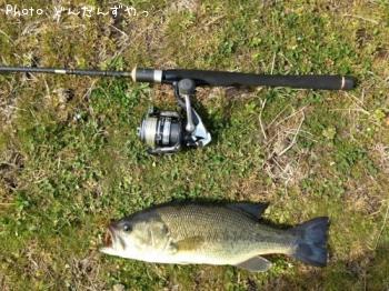 �֥�å��Х�