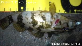 �����Υ���Х�