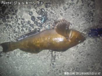 �����ʥ�