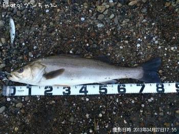 �����Х�