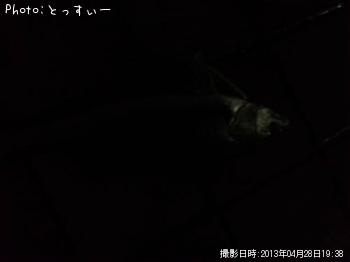 �����Х�