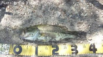 �֥�å��Х�