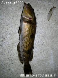 �����ʥ�