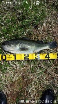 �֥�å��Х�