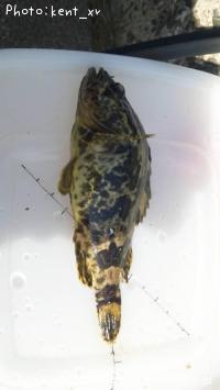 �����Υ���Х�