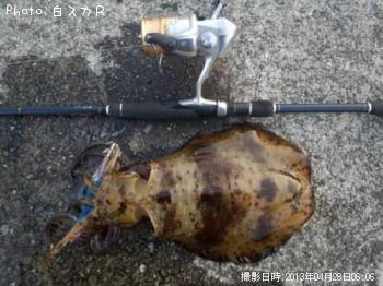 �����ꥤ��