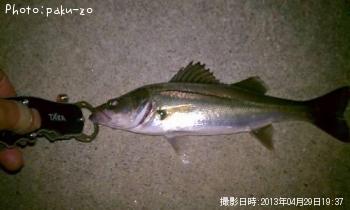 �����Х�