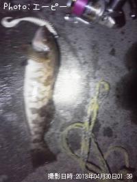 �����ʥ�