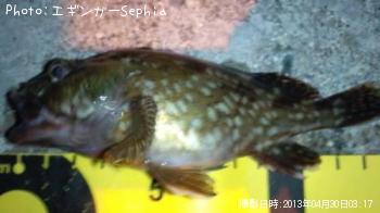 ���������ʥ������