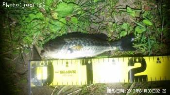 �֥�å��Х�