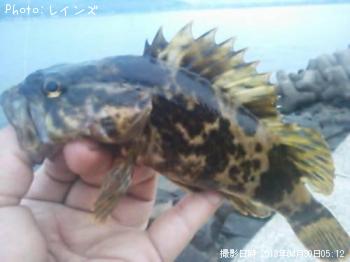 ¥¿¥±¥Î¥³¥á¥Ð¥ë