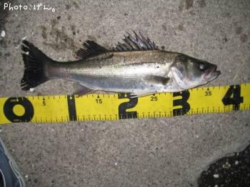 �����Х�