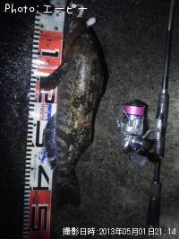 �����ʥ�