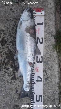 ������ޥ�