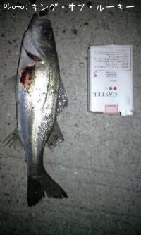 �����Х�