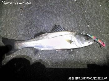 �����Х�