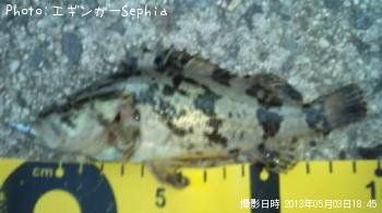 �����Υ���Х�