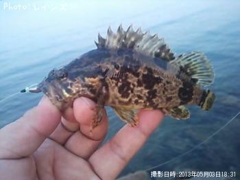 �����Υ���Х�