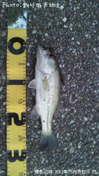 ¥Ö¥é¥Ã¥¯¥Ð¥¹