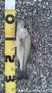 �֥�å��Х�