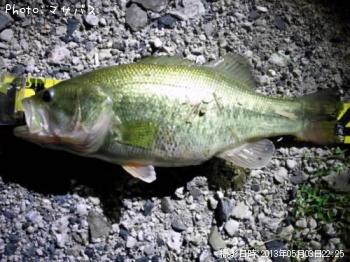 �֥�å��Х�