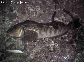 �����ʥ�