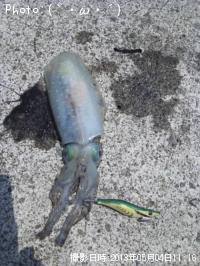 �����ꥤ��