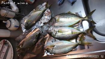 ¥¯¥í¥À¥¤¡¢¥·¥Þ¤¢¤¸