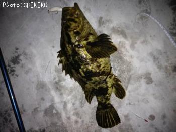 �٥å�������