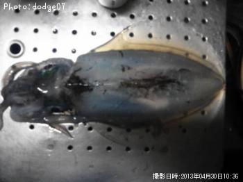 �����ꥤ��