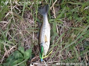 �֥�å��Х�