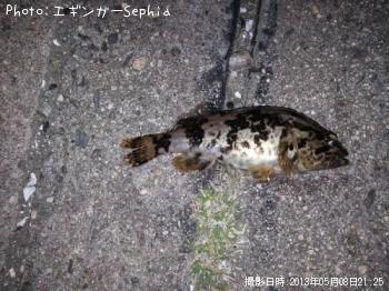 ¥¿¥±¥Î¥³¥á¥Ð¥ë