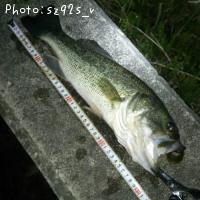 �֥�å��Х�