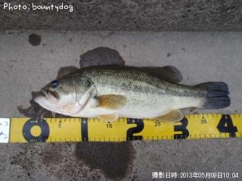 �֥�å��Х�