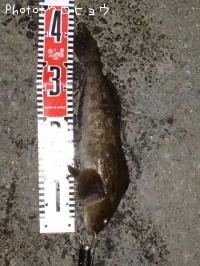 �����ʥ�